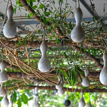 Il Barilotto Otel 3*